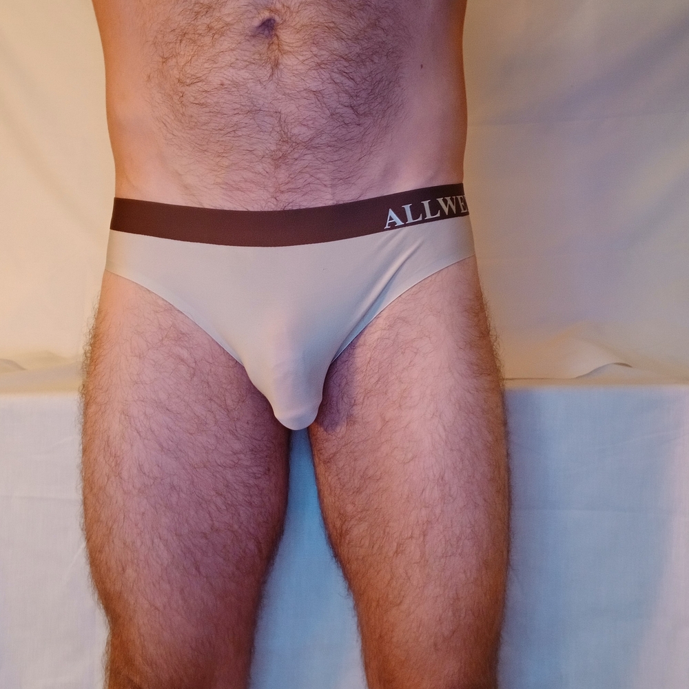 NWT Silky Smooth Tan Briefs